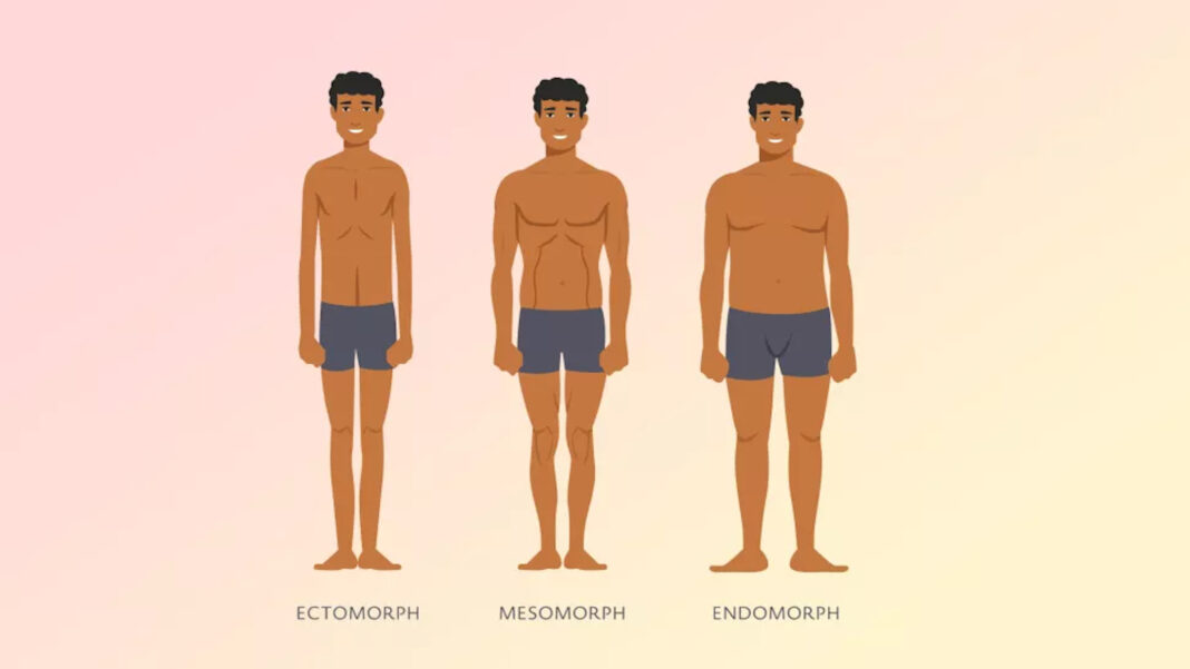 Эктоморф это. Эндоморф мужчина. Худой эндоморф. Смешанный Тип телосложения эктоморф-мезоморф. Астенический (эктоморф).